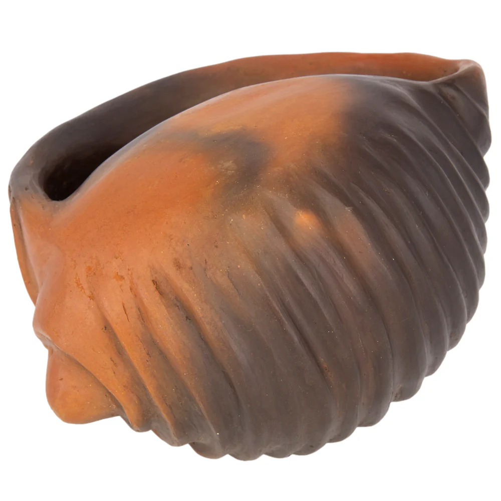Santa Cruz Cachán Caracol Seashell Clay Sculpture - Image 6